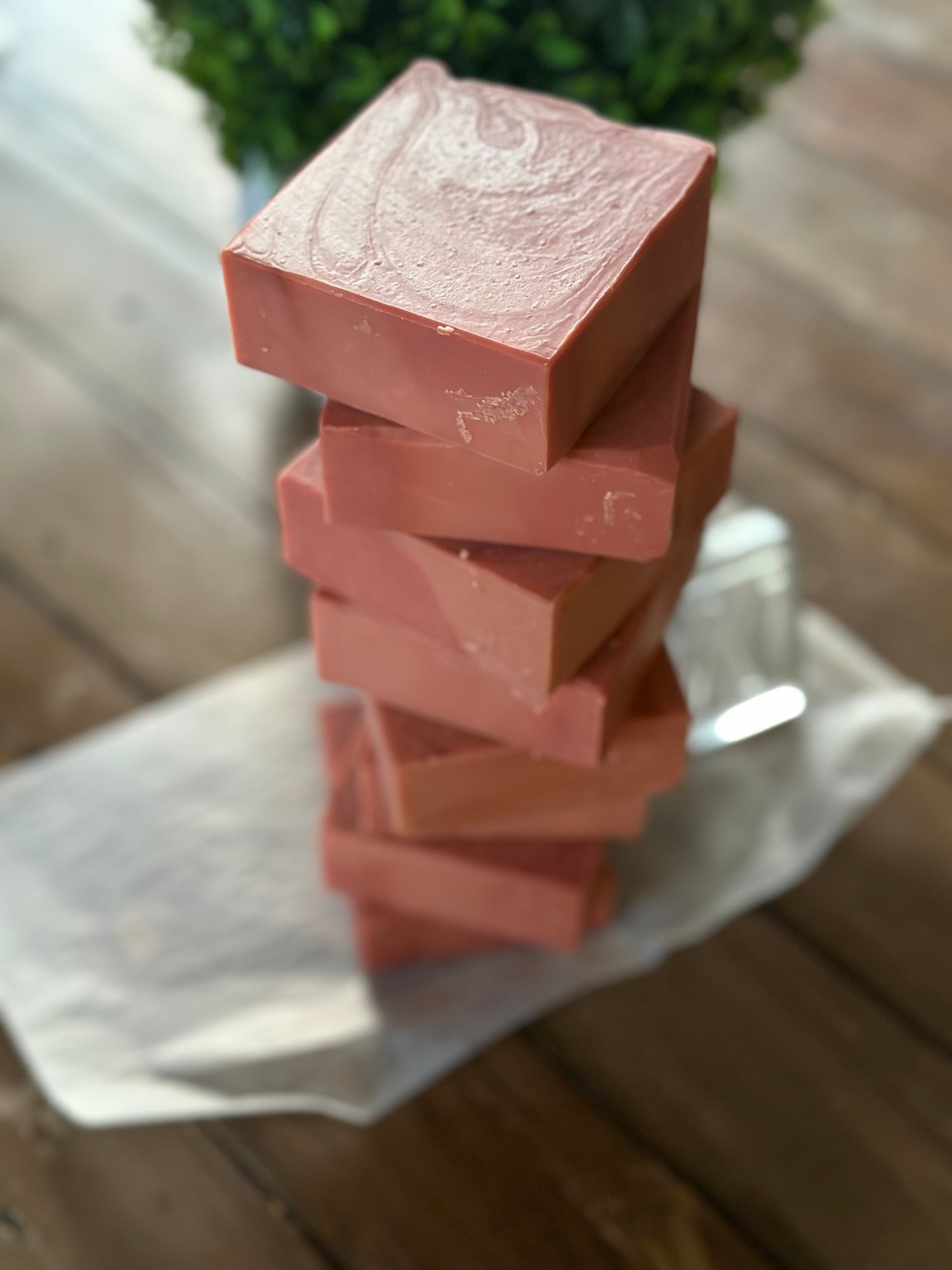 pink Bar soap with plant in background 